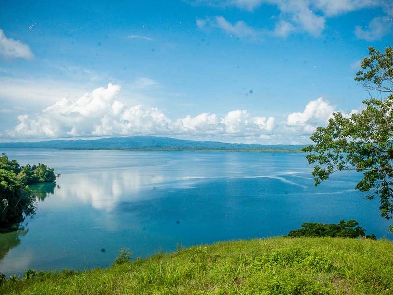 0 bed Lot/Land For Sale in Osa Peninsula,  - 1